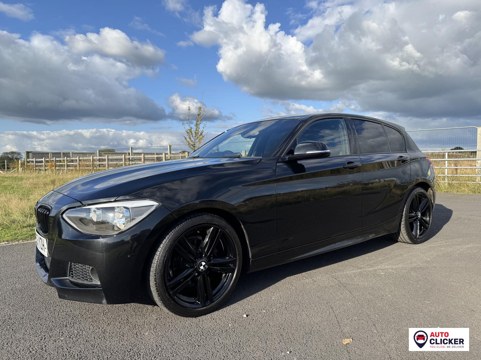 BMW 1 Series 2.0 118d M Sport Hatchback 5dr Diesel Manual Euro 5 (s/s) (143 ps)