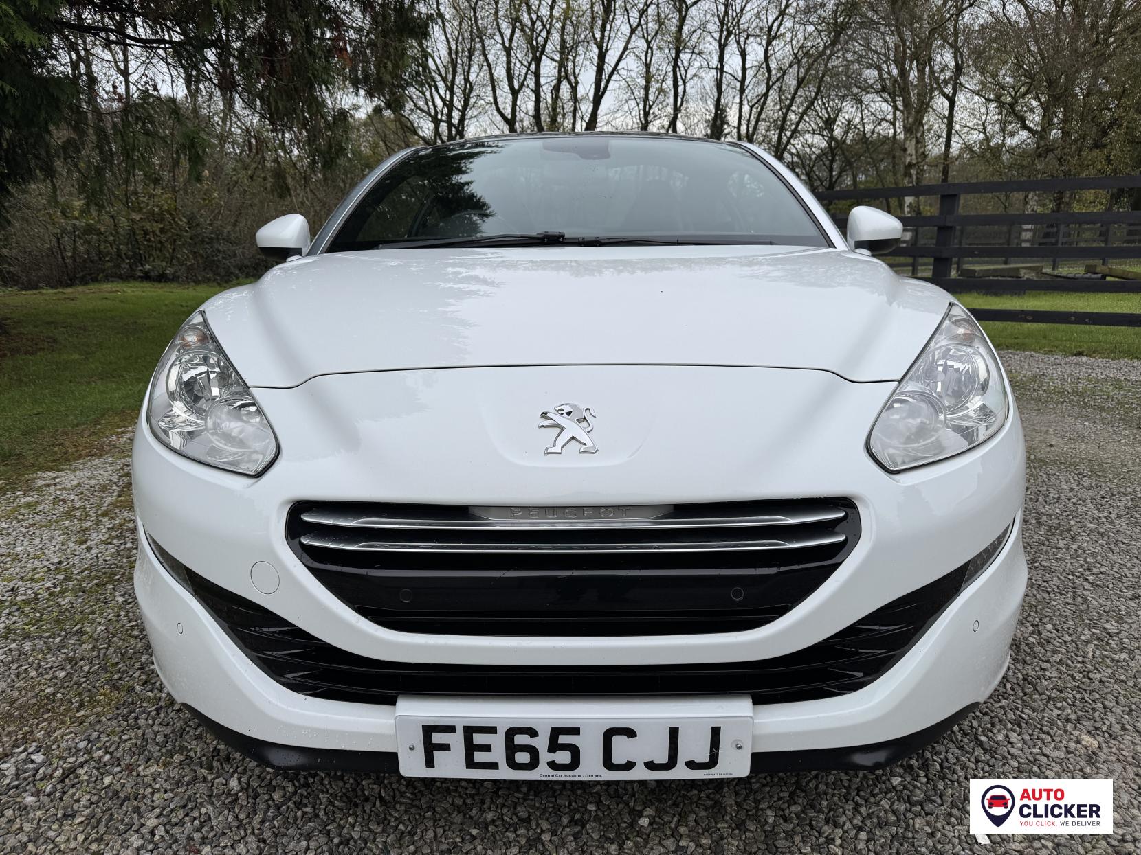 Peugeot RCZ 1.6 THP GT Coupe 2dr Petrol Manual Euro 5 (156 ps)