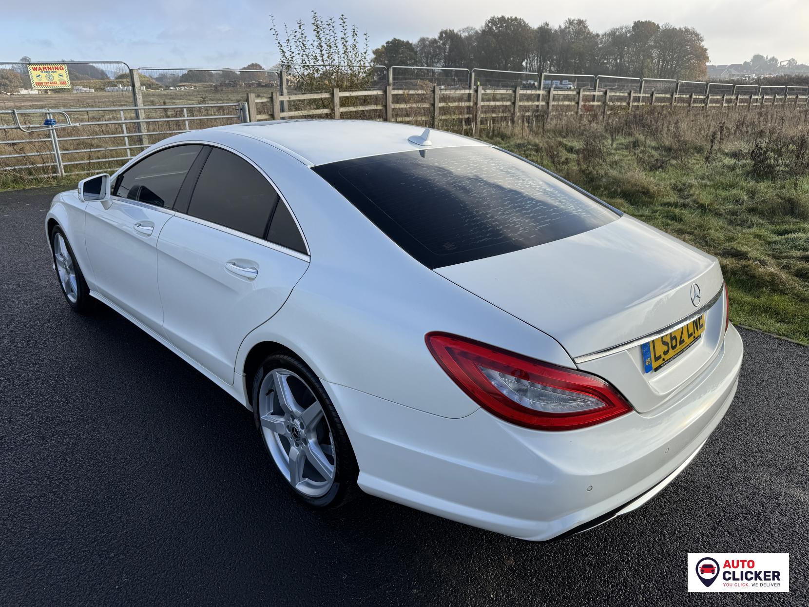 Mercedes-Benz CLS 2.1 CLS250 CDI BlueEfficiency Sport Coupe 4dr Diesel G-Tronic+ Euro 5 (s/s) (204 ps)